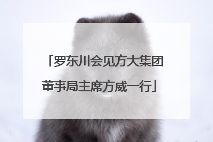罗东川会见方大集团董事局主席方威一行