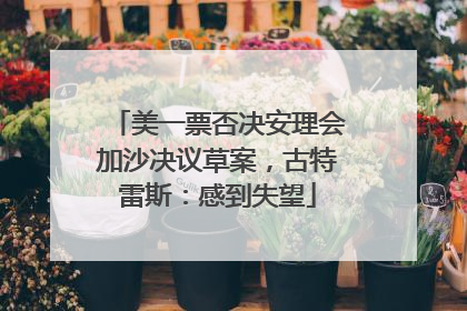 美一票否决安理会加沙决议草案，古特雷斯：感到失望