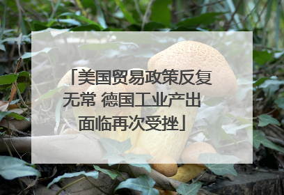 美国贸易政策反复无常 德国工业产出面临再次受挫