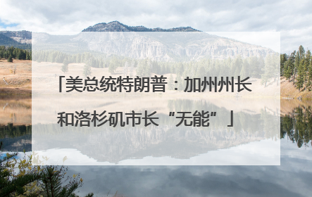 美总统特朗普：加州州长和洛杉矶市长“无能”