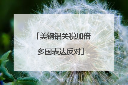 美钢铝关税加倍 多国表达反对