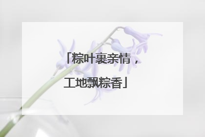 粽叶裹亲情,工地飘粽香