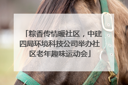 粽香传情暖社区，中建四局环境科技公司举办社区老年趣味运动会