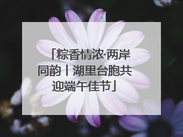 粽香情浓·两岸同韵丨湖里台胞共迎端午佳节