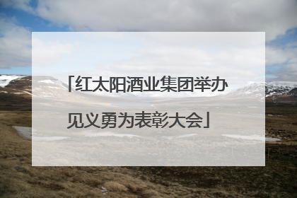 红太阳酒业集团举办见义勇为表彰大会