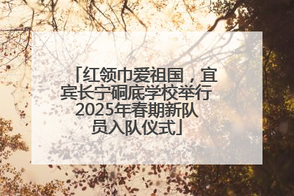 红领巾爱祖国，宜宾长宁硐底学校举行2025年春期新队员入队仪式
