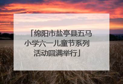 绵阳市盐亭县五马小学六一儿童节系列活动圆满举行