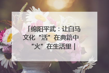 绵阳平武：让白马文化“活”在典籍中 “火”在生活里｜新闻发布最前线