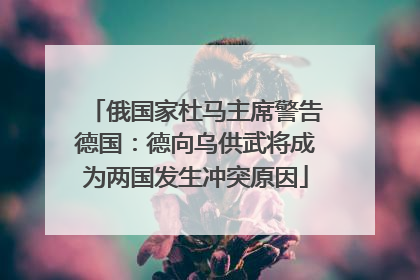 俄国家杜马主席警告德国：德向乌供武将成为两国发生冲突原因