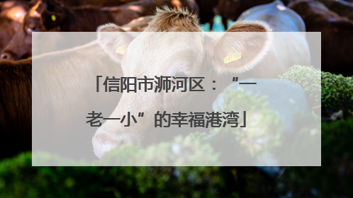 信阳市浉河区：“一老一小”的幸福港湾
