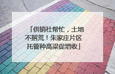 供销社帮忙，土地不撂荒！朱家庄片区托管种高粱促增收