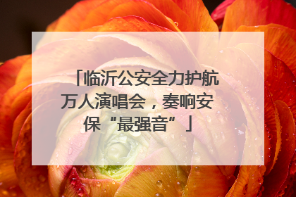 临沂公安全力护航万人演唱会，奏响安保“最强音”