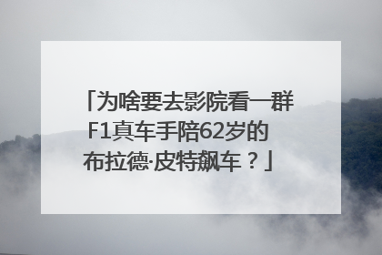 为啥要去影院看一群F1真车手陪62岁的布拉德·皮特飙车？