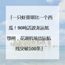 一只虾重堪比一个西瓜！90吨活波龙运抵鄂州，花湖机场货运航线突破100条
