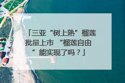 三亚“树上熟”榴莲批量上市 “榴莲自由”能实现了吗？