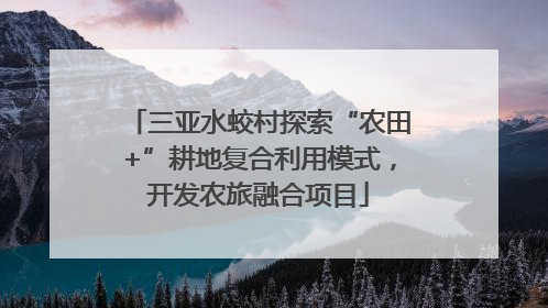 三亚水蛟村探索“农田+”耕地复合利用模式，开发农旅融合项目