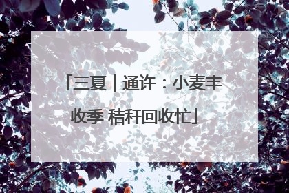 三夏｜通许：小麦丰收季 秸秆回收忙