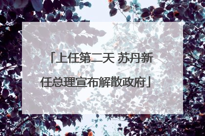 上任第二天 苏丹新任总理宣布解散政府