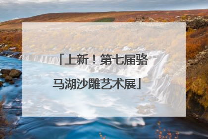 上新！第七届骆马湖沙雕艺术展