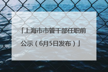 上海市市管干部任职前公示（6月5日发布）