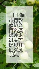 上海市摄影家协会百名摄影师走进麦盖提县开展采风活动