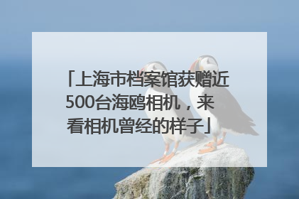 上海市档案馆获赠近500台海鸥相机，来看相机曾经的样子