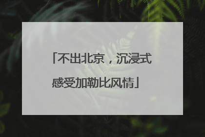 不出北京，沉浸式感受加勒比风情