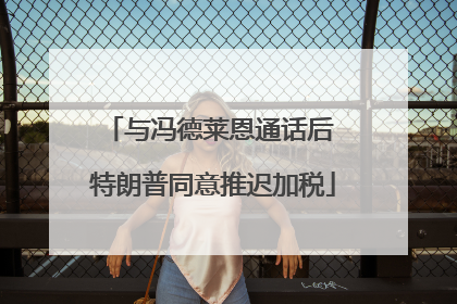 与冯德莱恩通话后 特朗普同意推迟加税