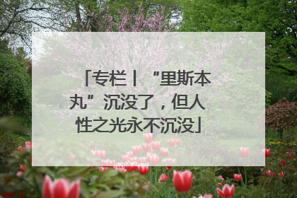 专栏丨“里斯本丸”沉没了，但人性之光永不沉没