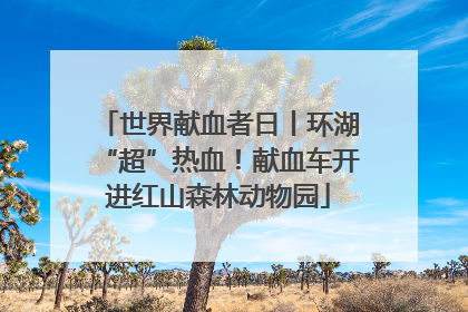 世界献血者日丨环湖“超”热血！献血车开进红山森林动物园