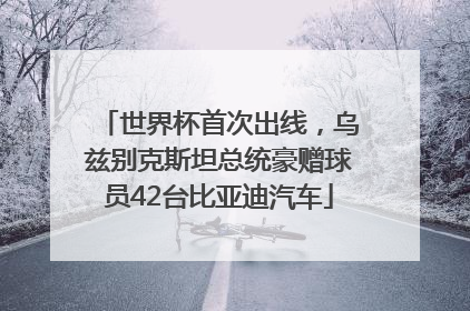世界杯首次出线，乌兹别克斯坦总统豪赠球员42台比亚迪汽车