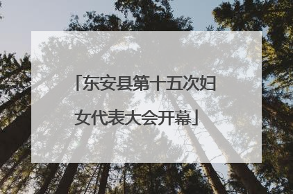 东安县第十五次妇女代表大会开幕