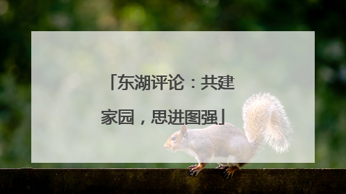 东湖评论：共建家园，思进图强