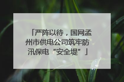 严阵以待，国网孟州市供电公司筑牢防汛保电“安全堤”
