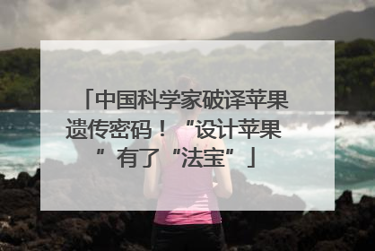 中国科学家破译苹果遗传密码！“设计苹果”有了“法宝”