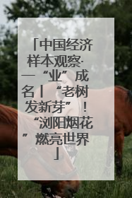 中国经济样本观察·一“业”成名丨“老树发新芽”！“浏阳烟花”燃亮世界
