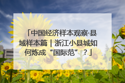 中国经济样本观察·县域样本篇｜浙江小县城如何炼成“国际范”？