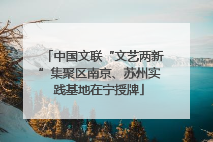 中国文联“文艺两新”集聚区南京、苏州实践基地在宁授牌
