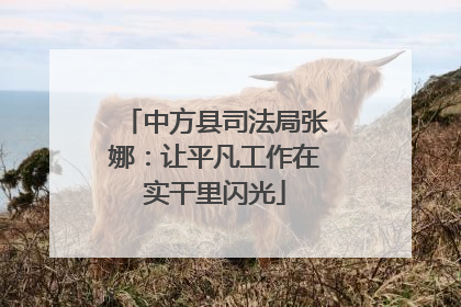 中方县司法局张娜：让平凡工作在实干里闪光