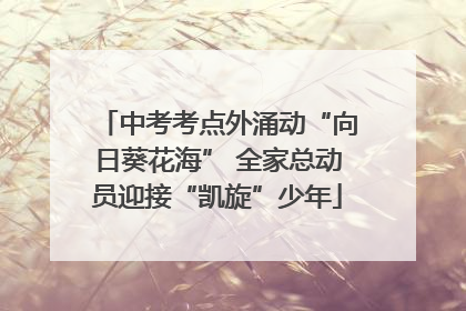 中考考点外涌动“向日葵花海” 全家总动员迎接“凯旋”少年