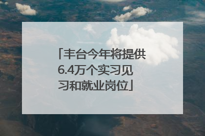 丰台今年将提供6.4万个实习见习和就业岗位