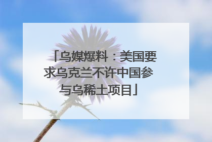 乌媒爆料：美国要求乌克兰不许中国参与乌稀土项目