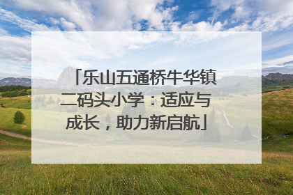 乐山五通桥牛华镇二码头小学：适应与成长，助力新启航