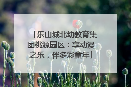 乐山城北幼教育集团桃源园区：享动漫之乐，伴多彩童年