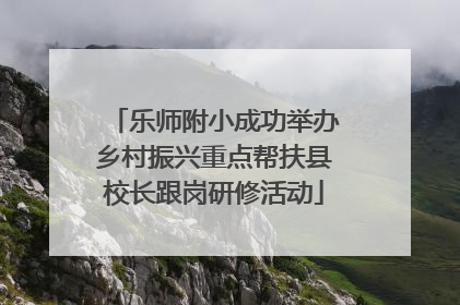 乐师附小成功举办乡村振兴重点帮扶县校长跟岗研修活动
