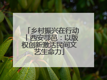 乡村振兴在行动丨西安鄠邑：以版权创新激活民间文艺生命力