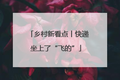 乡村新看点丨快递坐上了“飞的”