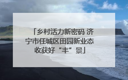 乡村活力新密码 济宁市任城区田园新业态收获好“丰”景