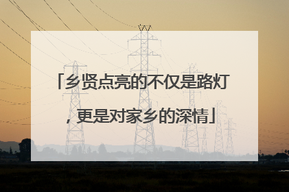 乡贤点亮的不仅是路灯，更是对家乡的深情