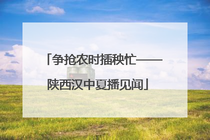 争抢农时插秧忙——陕西汉中夏播见闻